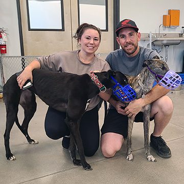 Bell Adoption042525 web